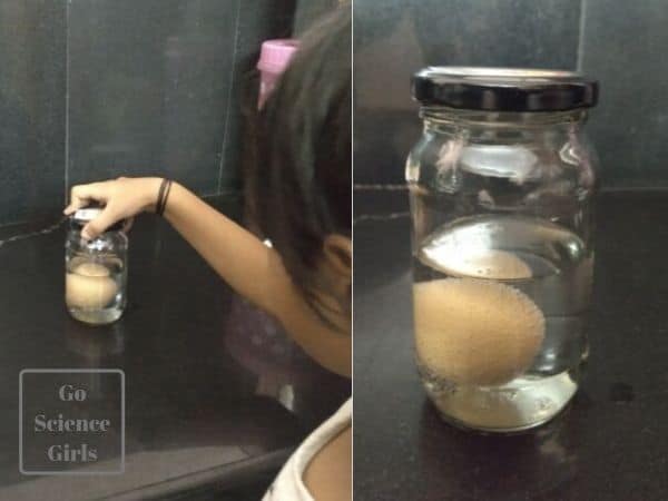 egg in vinegar experiment