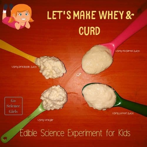 How To Make Curds And Whey Go Science Girls