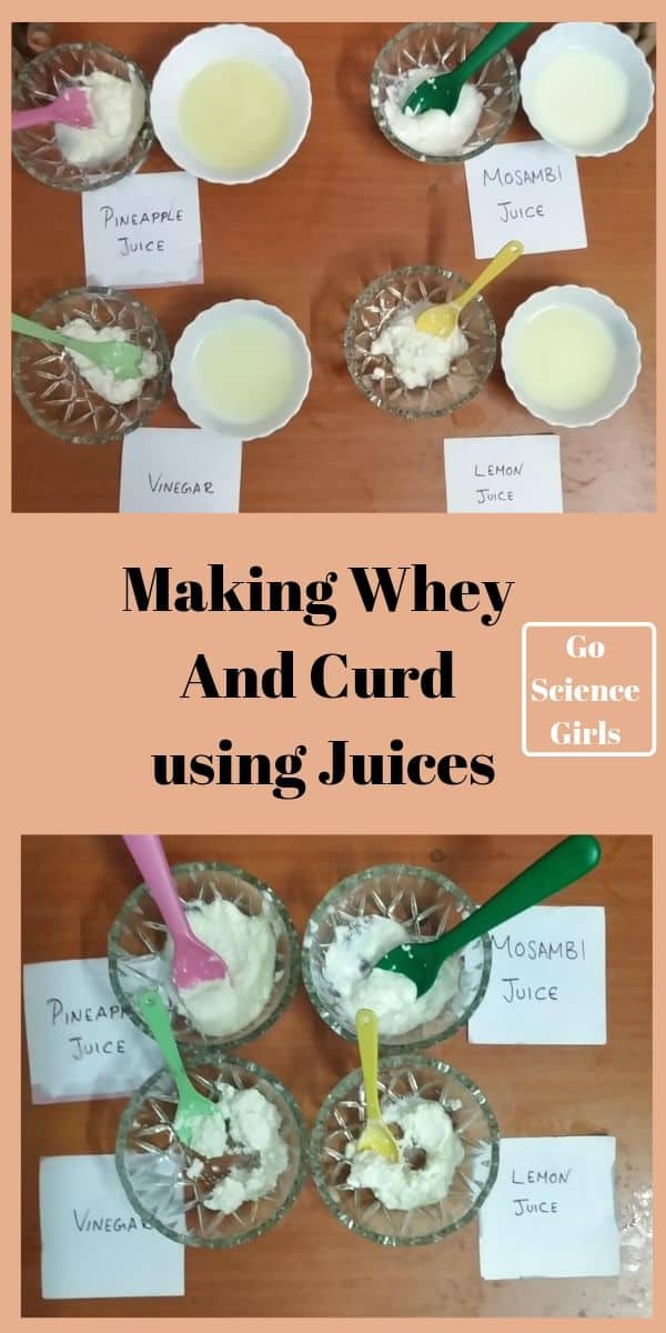 Making Whey And Curd using Juices