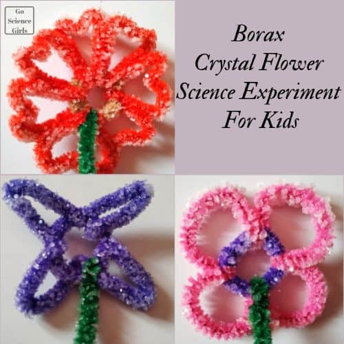 Borax Crystal Flower Science Experiment For Kids
