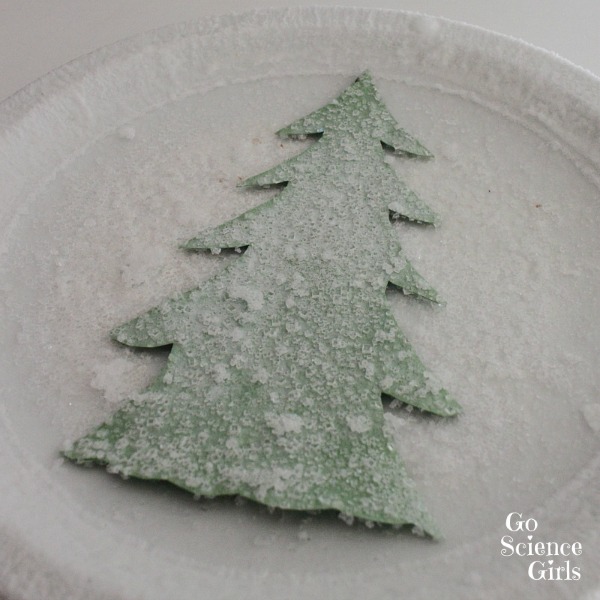 Making a snowy fir tree with salt crystals
