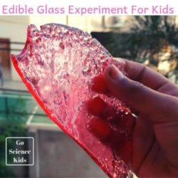 Sugar Glass : Edible Science for Kids