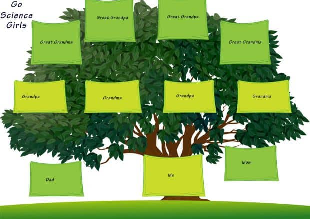Printable Family Tree Chart 4 Generations