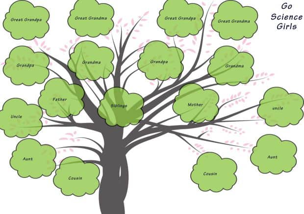 Printable Family Tree Chart