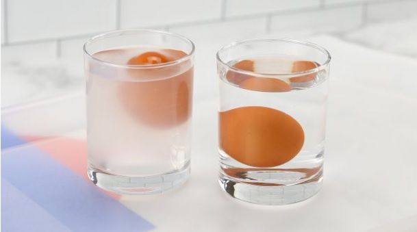 Floating egg in Salt water experiment