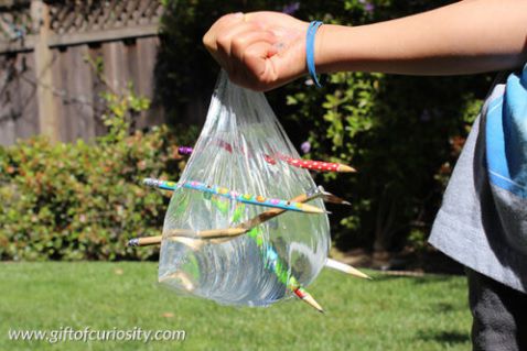The Leak Proof Plastic Bag: A kid-friendly science lesson about polymers