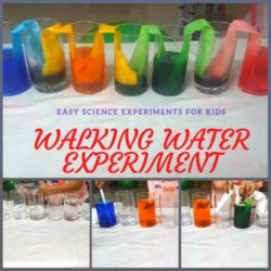 Walking Water Experiment – Teach Capillary Action to Kids