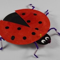 How to Make 3D Ladybug Model (Lifecycle Included)