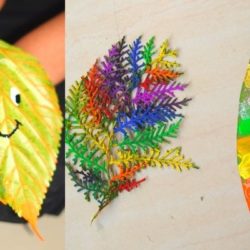 Exploring Veins Patterns in Leaves – Kids Painting Activity