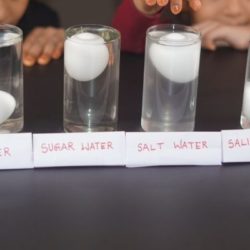 Floating Egg Science Experiment ( Using Salt, Sugar & Saline Water)