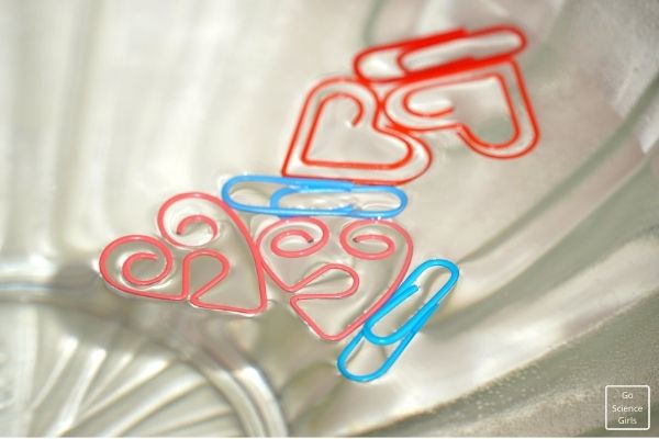 Floating Paper Clip Experiment
