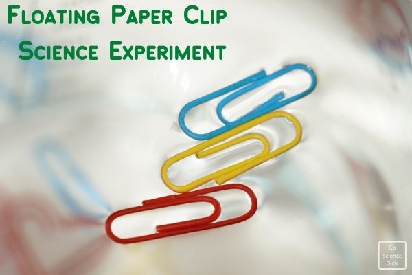 Floating Paper Clip Science Experiment
