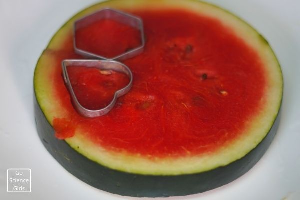 Shape Activities with Watermelon