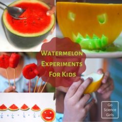 Cool Watermelon Science Experiments for Kids