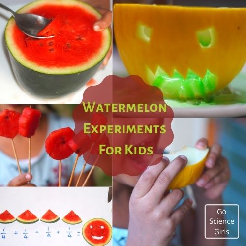 Watermelon Experiments For Kids