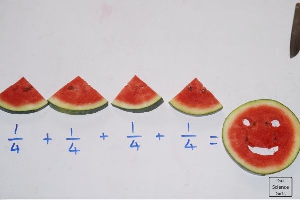 Watermelon Fraction Experiments