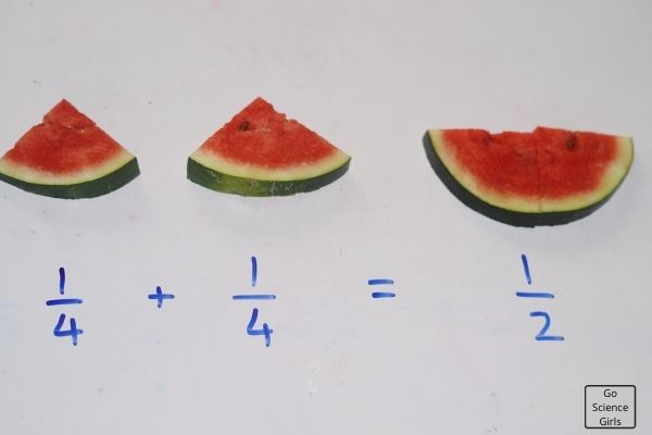 Watermelon Fraction Experiments For Kids