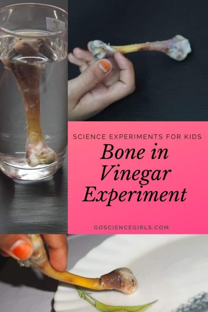 Magic Bending Bone Experiment for Kids