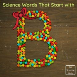 Science Words That Start With Letter B (Printable Worksheet)