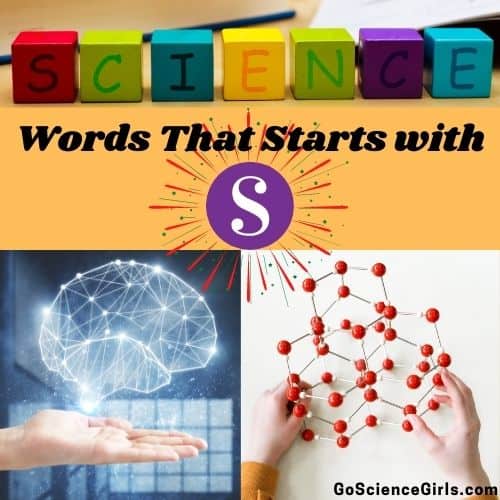 Science Words Starts With Letter S