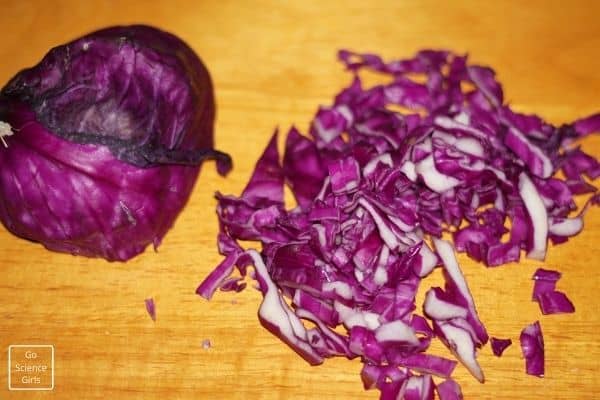 Cut Red Cabbage Into Small Pieces - Red Cabbage pH Indicator Project