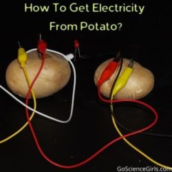 DIY Potato Battery: Potato Light bulb Science Fair Project