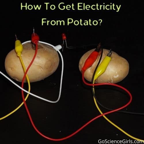 Diy Potato Battery Light Bulb