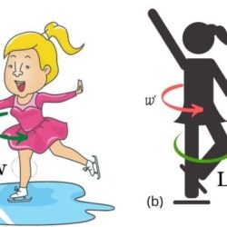 Science of Ice Skating (Physics Concepts of Ice Skating)