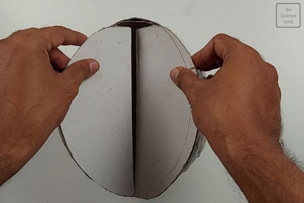 place cardboard into ball