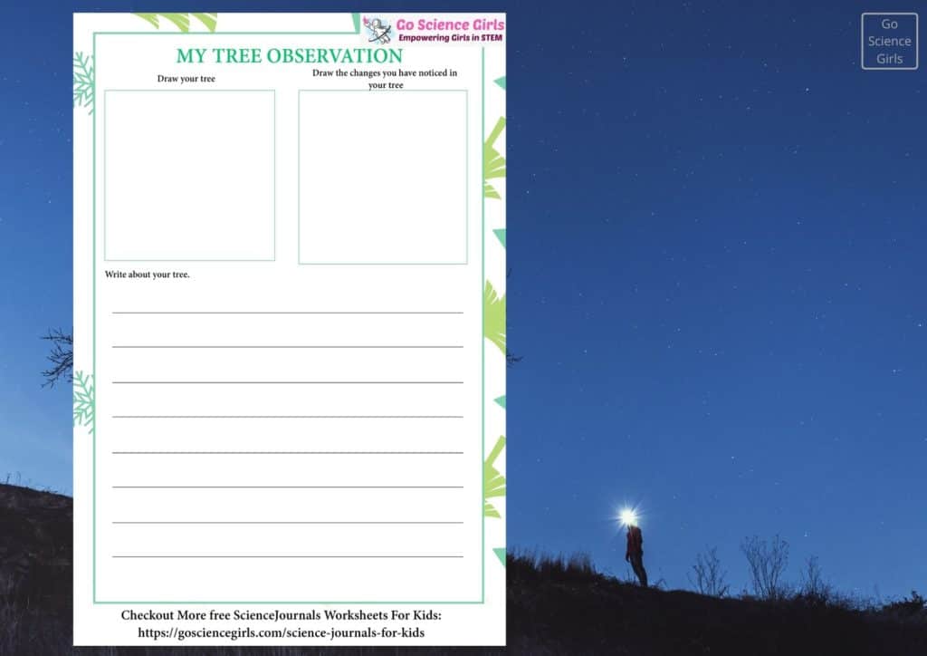 science journal tree observation