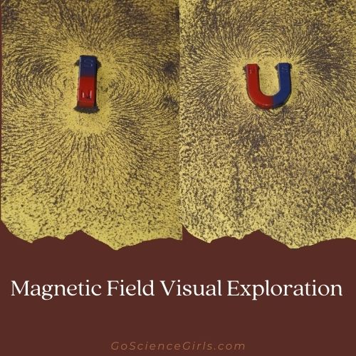 Magnetic Field Visual Exploration
