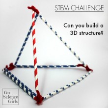 STEM Challenge: Can you build a 3D structure?