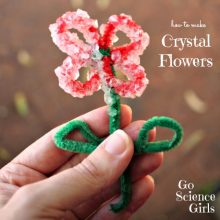 Borax Crystal Flowers
